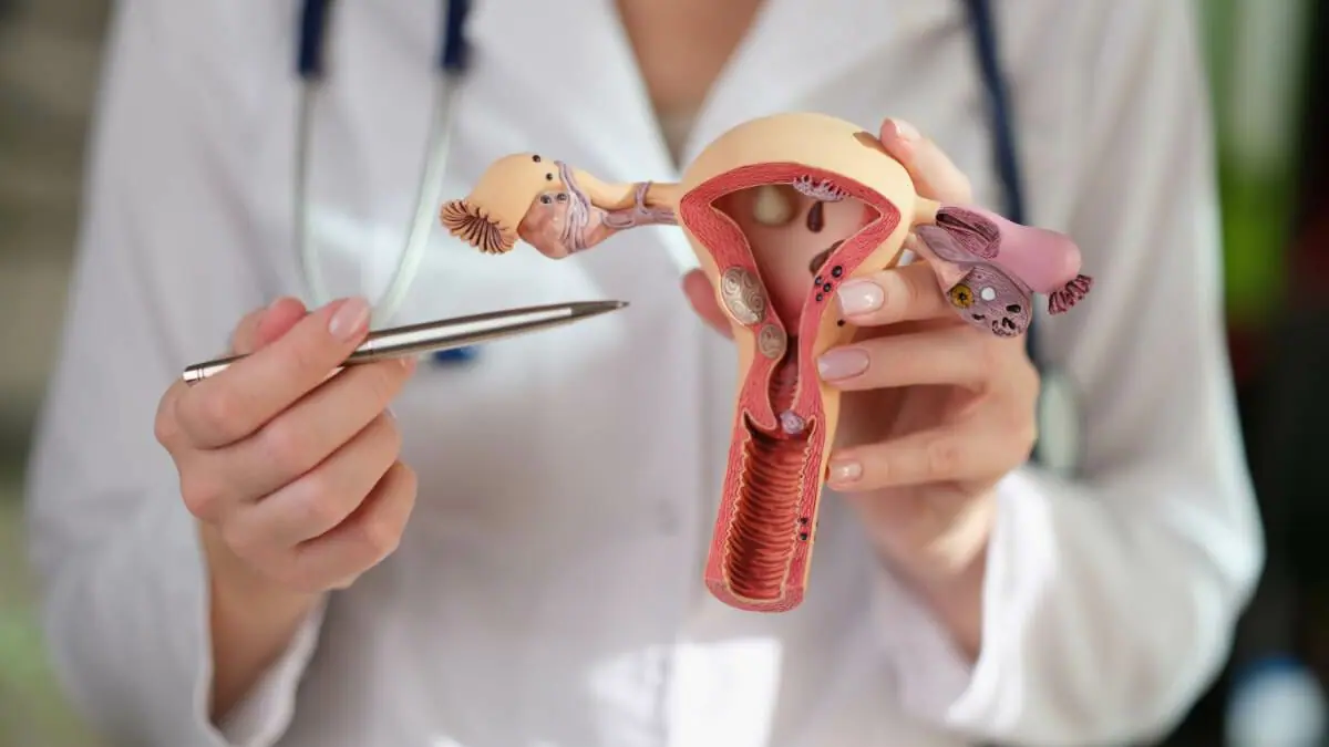Operasi Vaginoplasty