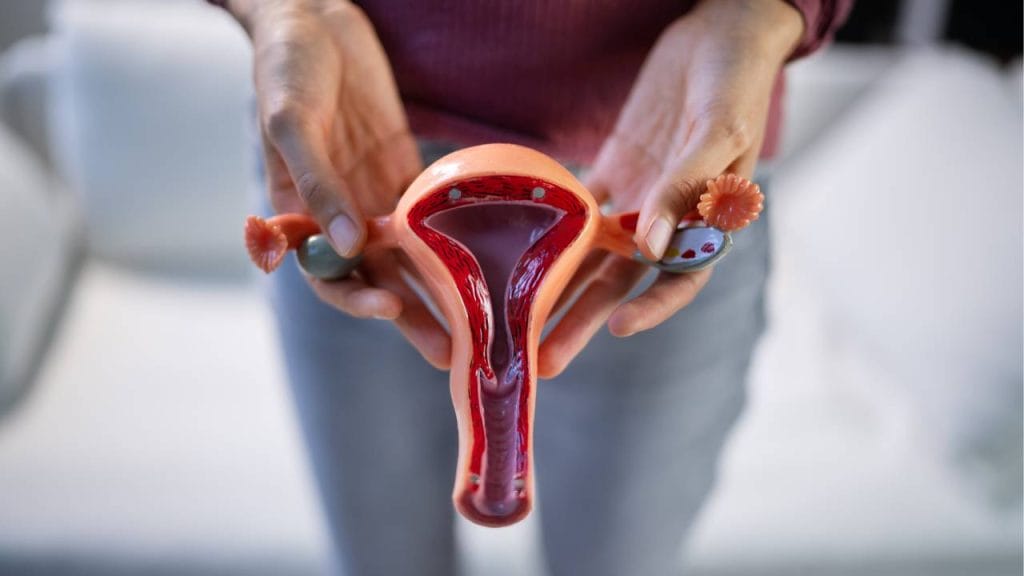 Faktor Yang Memengaruhi Biaya Operasi Vagina