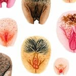 Bentuk Vagina