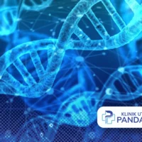 harga suntik dna salmon