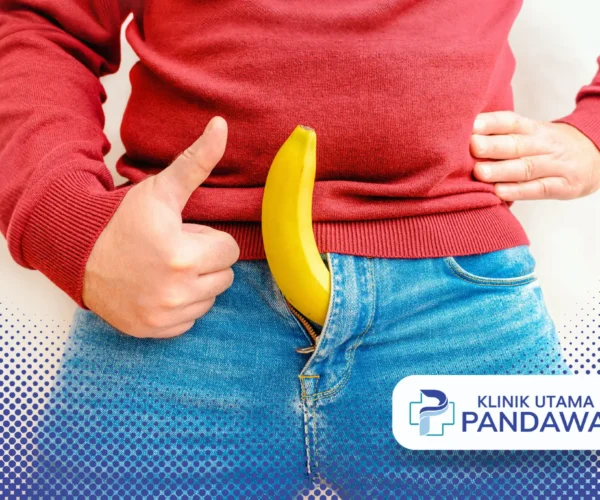 implan penis