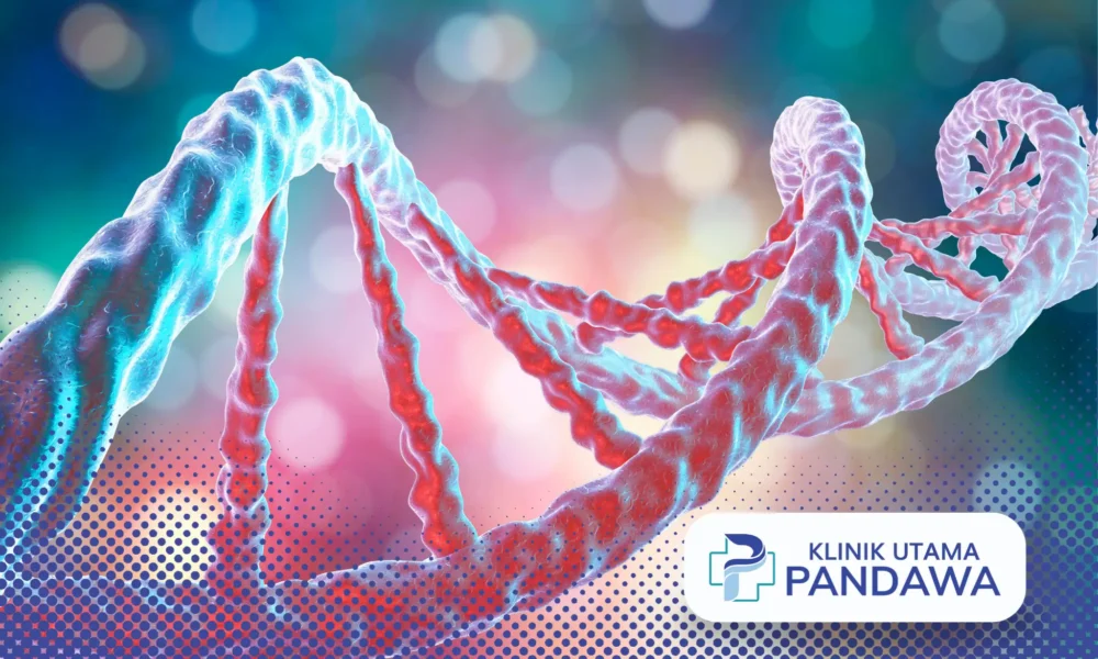 suntik dna salmon bertahan berapa lama