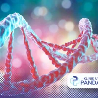 suntik dna salmon bertahan berapa lama