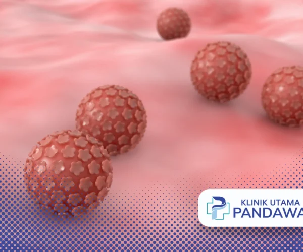 virus human papiloma dapat menyebabkan penyakit