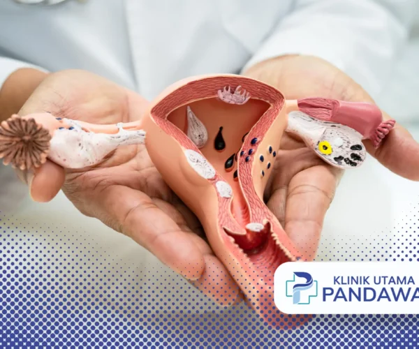 endometritis adalah